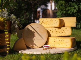 Cașcaval românesc. FOTO Produs în România