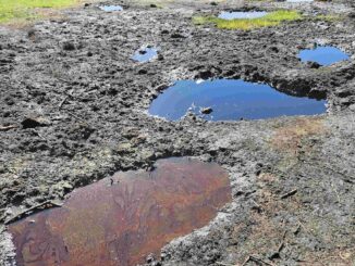 Izvoarele de Petrol de la Beciu. FOTO Geoparcul Ținutul Buzăului