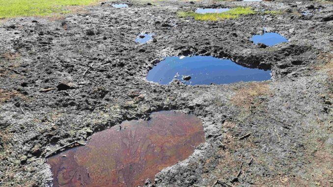 Izvoarele de Petrol de la Beciu. FOTO Geoparcul Ținutul Buzăului