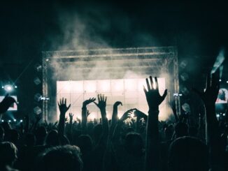 Fanii la concert. FOTO Activedia