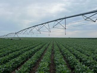 Irigații pentru agricultură. FOTO raspberry communication