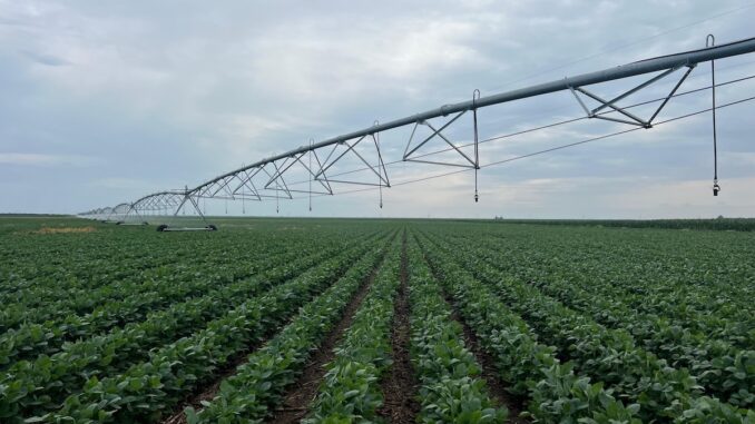 Irigații pentru agricultură. FOTO raspberry communication