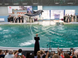 Corul Madrigal la Delfinariul Constanța. FOTO Madrigal