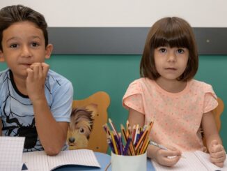 Grădinițe estivale. FOTO Salvați copiii