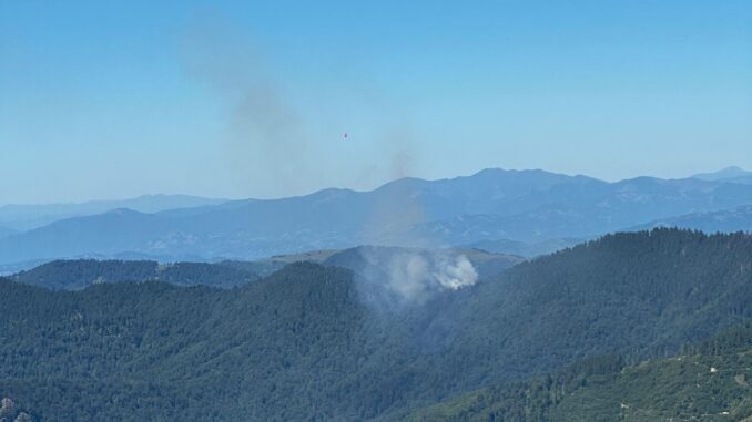Incendii de pădure. FOTO IGSU