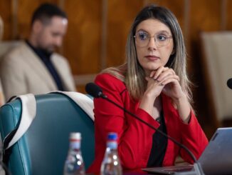 Diana Buzoianu, ministrul Mediului. FOTO DB