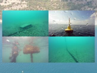 Fermă de scoici fantomă în Bulgaria. FOTO EPPO